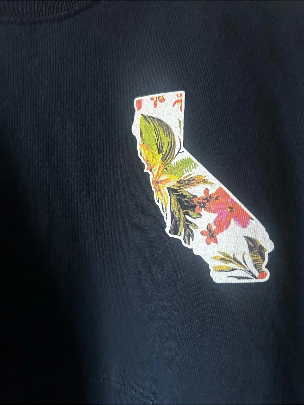 Hotel Del Coronado California Bear Spirit Jersey